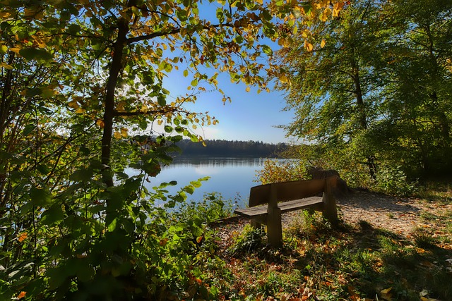 支重建中的 支重建中的