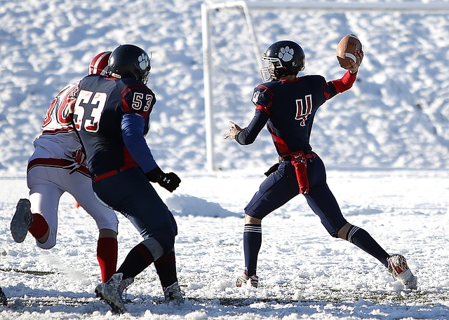 国内优秀球 国内优秀球